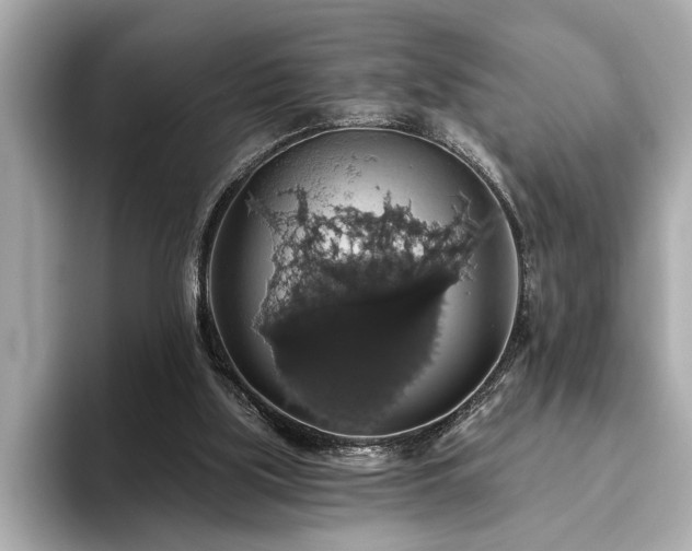 X0000093620059200710151308