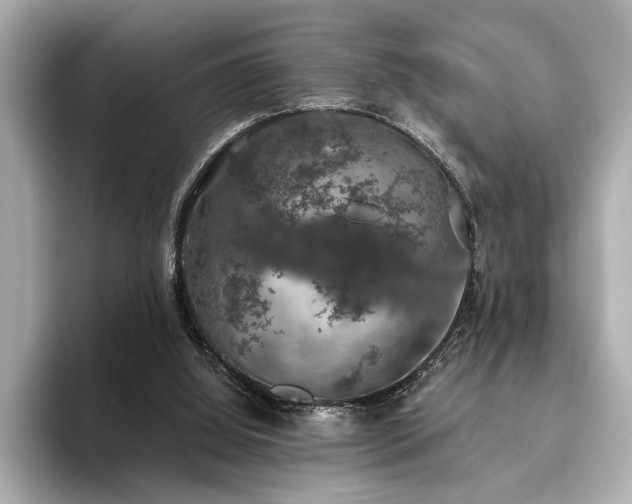 X0000093620060200710151308
