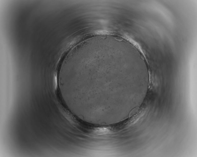 X0000093620061200710151308