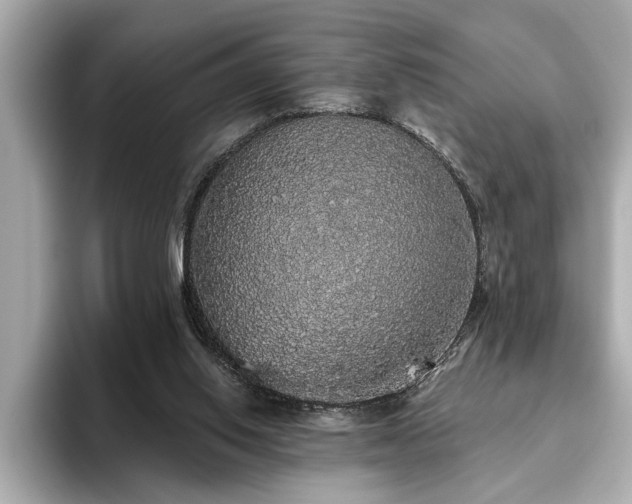 X0000093620062200710151309