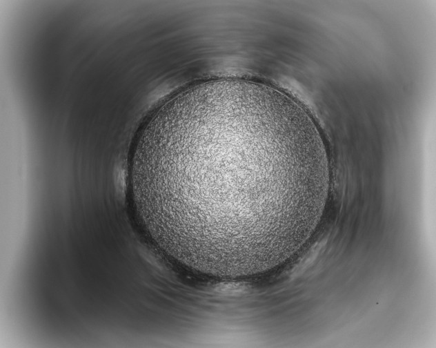X0000093620063200710151309