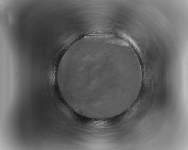 X0000093620065200710151309