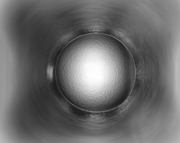 X0000093620070200710151309