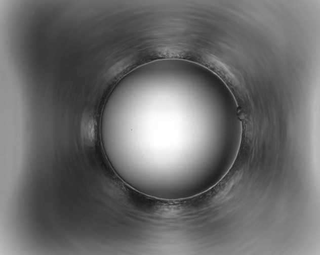 X0000093620071200710151309