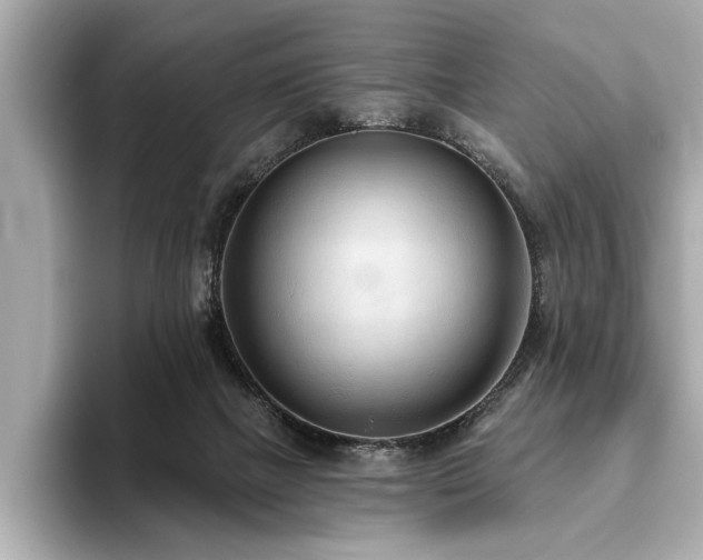 X0000093620073200710151309