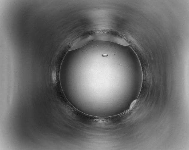 X0000093620074200710151309