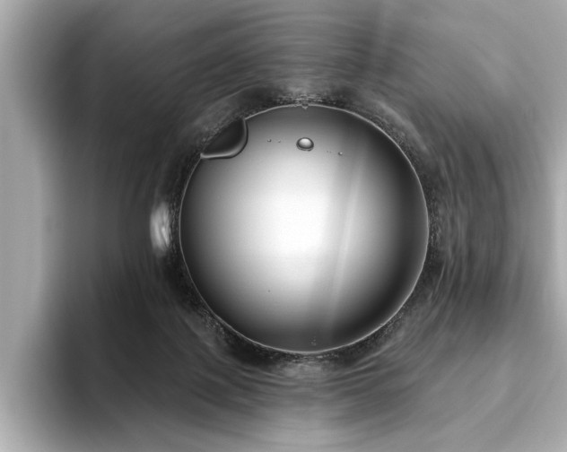 X0000093620075200710151309