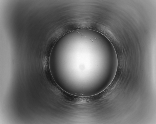 X0000093620077200710151309