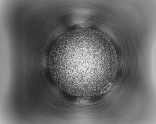 X0000093620078200710151309