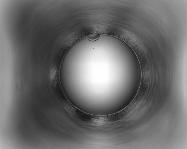 X0000093620079200710151309