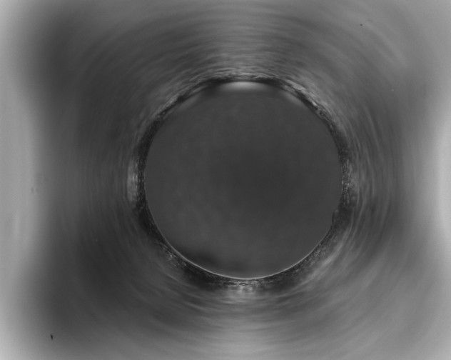 X0000093620080200710151309