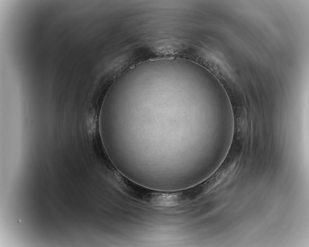 X0000093620081200710151309