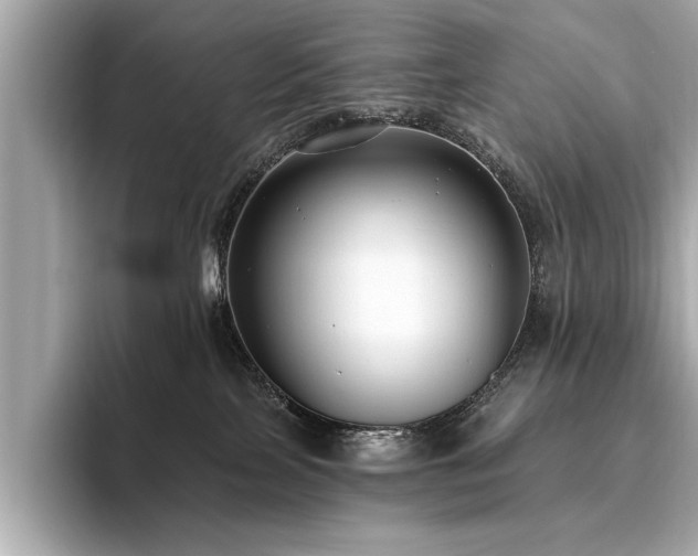 X0000093620089200710151309