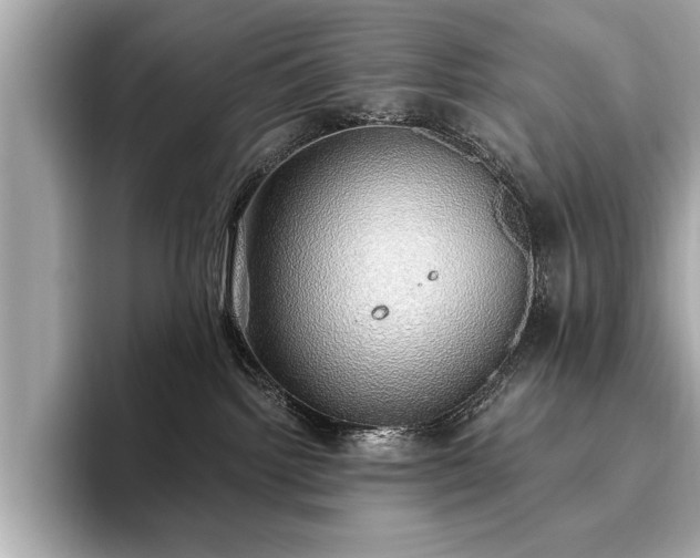 X0000093620092200710151309