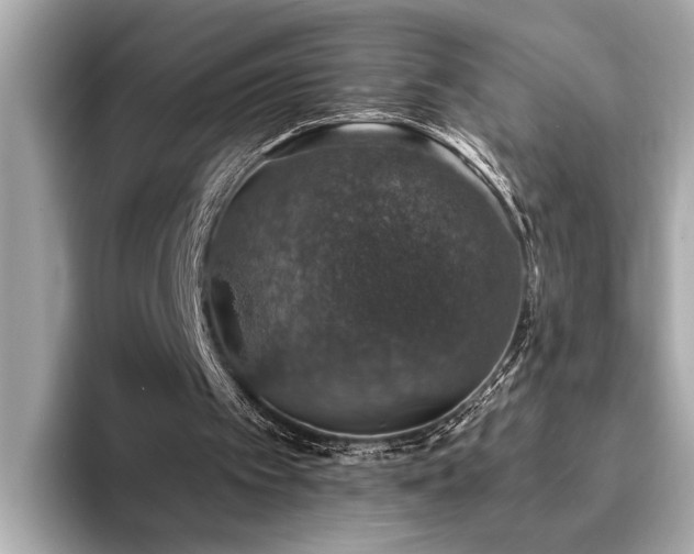 X0000093620097200710151308