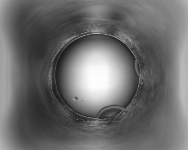 X0000093620098200710151308