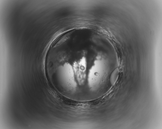 X0000093620099200710151308