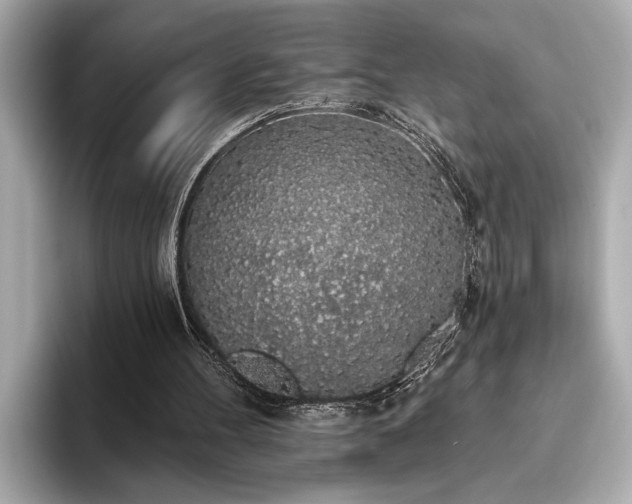 X0000093620100200710151308