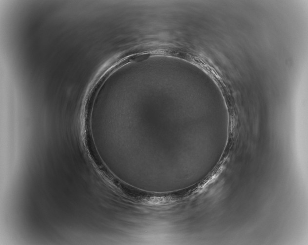 X0000093620101200710151308