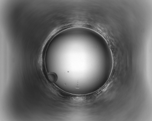 X0000093620102200710151308