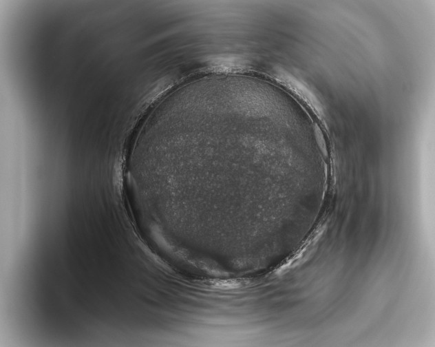 X0000093620105200710151308