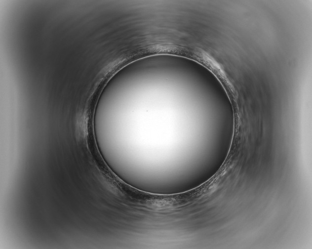 X0000093620106200710151308