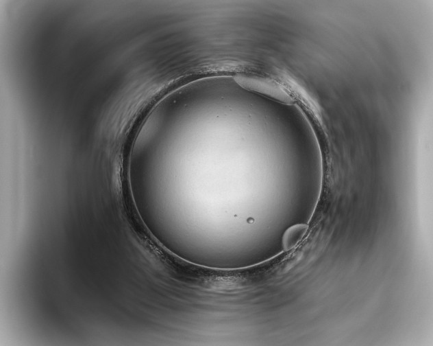 X0000093620107200710151308
