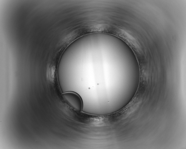 X0000093620118200710151308