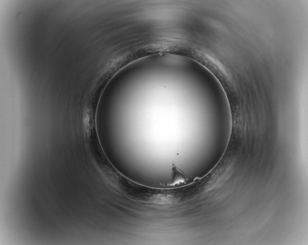 X0000093620119200710151308