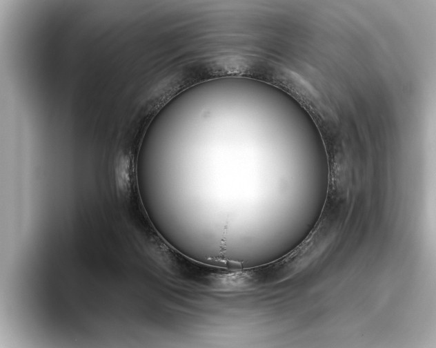 X0000093620122200710151308