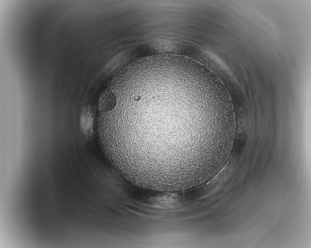 X0000093620124200710151308