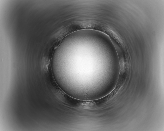 X0000093620125200710151308