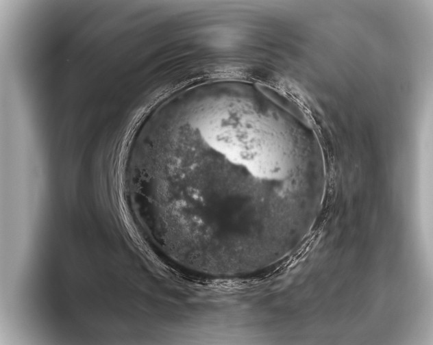 X0000093620145200710151307