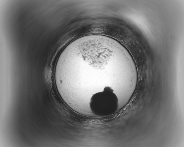 X0000093620146200710151307