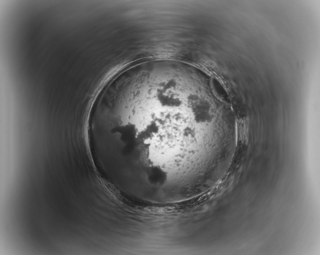 X0000093620147200710151307