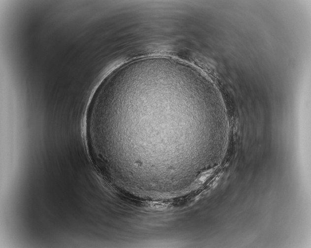 X0000093620148200710151307