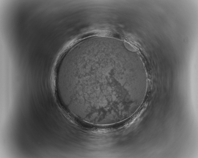 X0000093620149200710151307