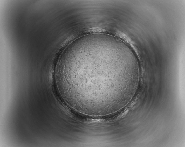 X0000093620153200710151307