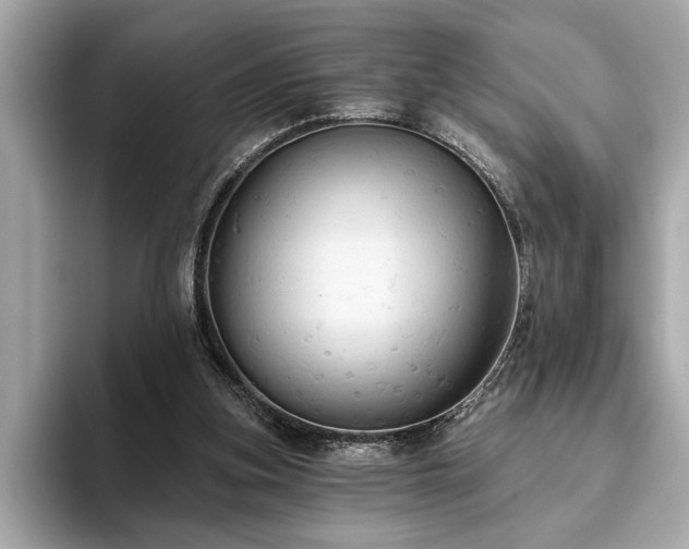 X0000093620155200710151307