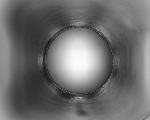 X0000093620159200710151307