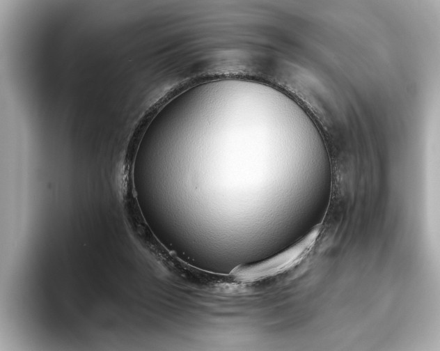 X0000093620160200710151307
