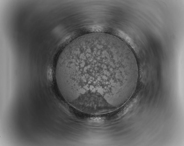 X0000093620161200710151307