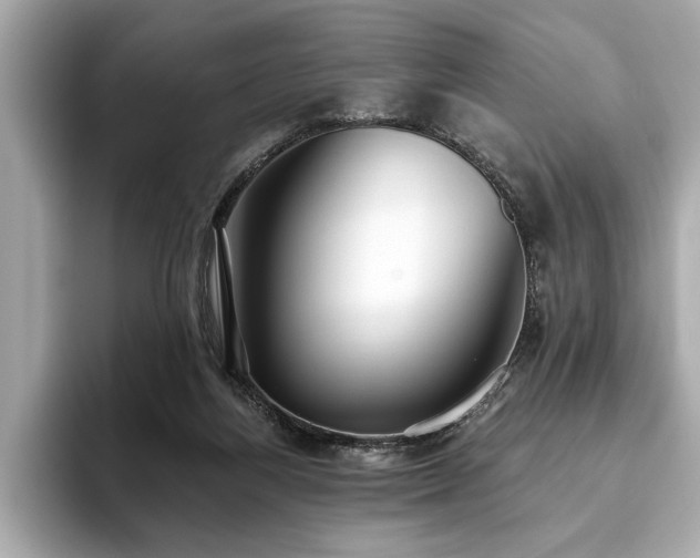 X0000093620164200710151307