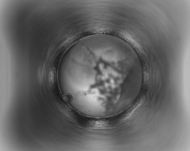 X0000093620165200710151307