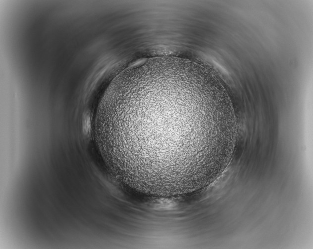 X0000093620166200710151307