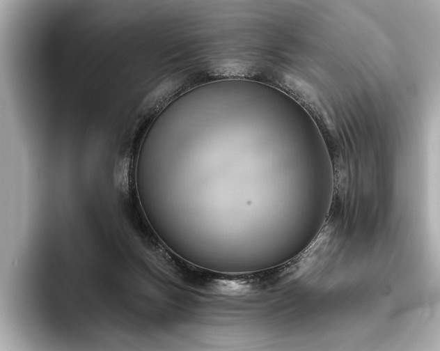 X0000093620167200710151307