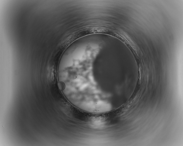 X0000093620169200710151308