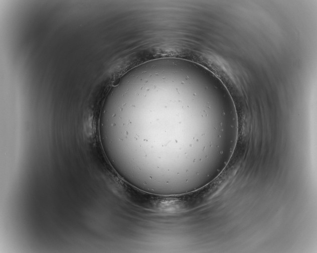 X0000093620173200710151308