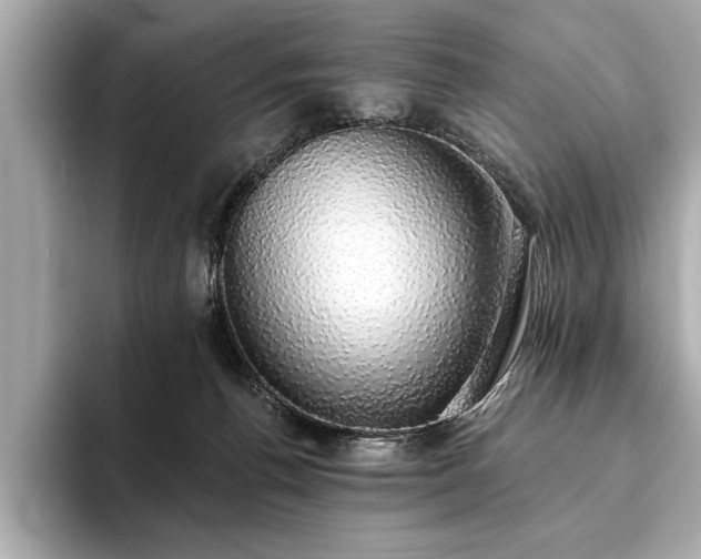 X0000093620176200710151308