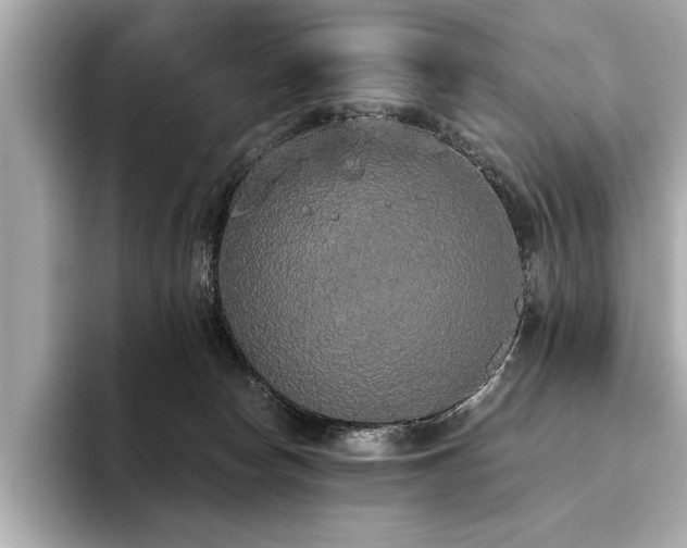 X0000093620178200710151308